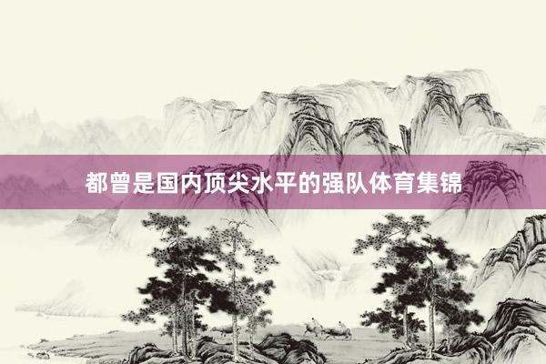 都曾是国内顶尖水平的强队体育集锦