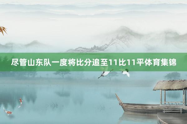 尽管山东队一度将比分追至11比11平体育集锦
