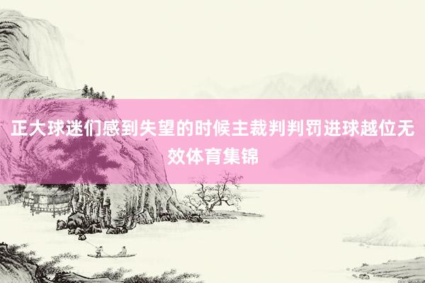 正大球迷们感到失望的时候主裁判判罚进球越位无效体育集锦