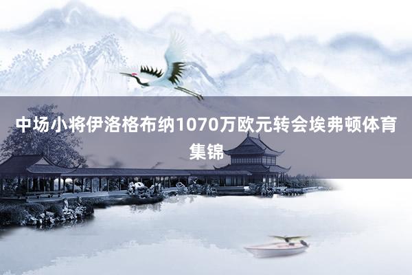 中场小将伊洛格布纳1070万欧元转会埃弗顿体育集锦