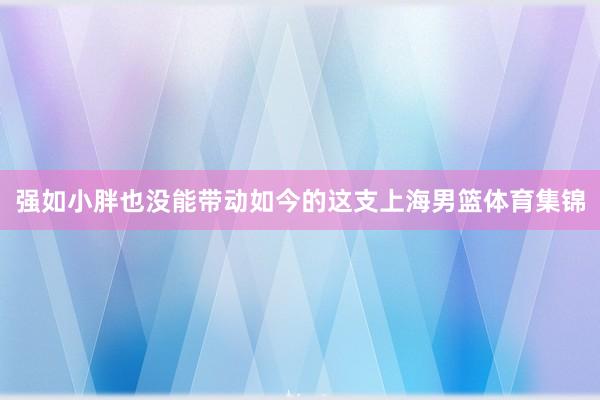 强如小胖也没能带动如今的这支上海男篮体育集锦