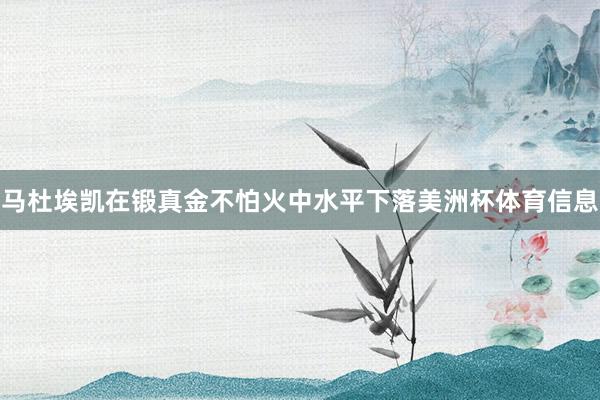 马杜埃凯在锻真金不怕火中水平下落美洲杯体育信息