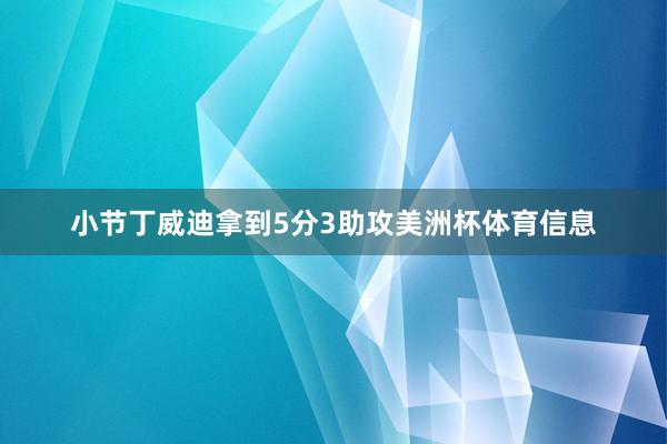 小节丁威迪拿到5分3助攻美洲杯体育信息