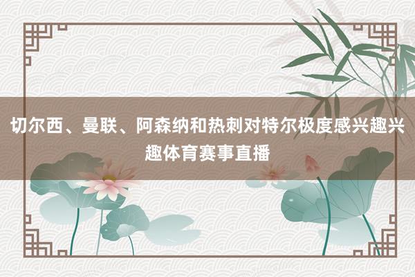 切尔西、曼联、阿森纳和热刺对特尔极度感兴趣兴趣体育赛事直播