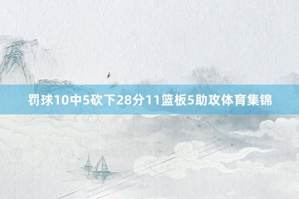 罚球10中5砍下28分11篮板5助攻体育集锦