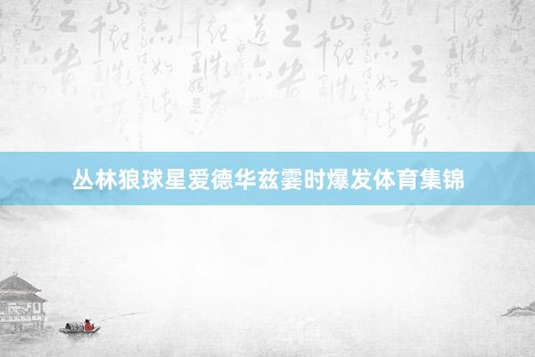 丛林狼球星爱德华兹霎时爆发体育集锦
