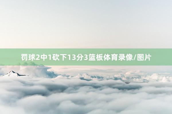 罚球2中1砍下13分3篮板体育录像/图片