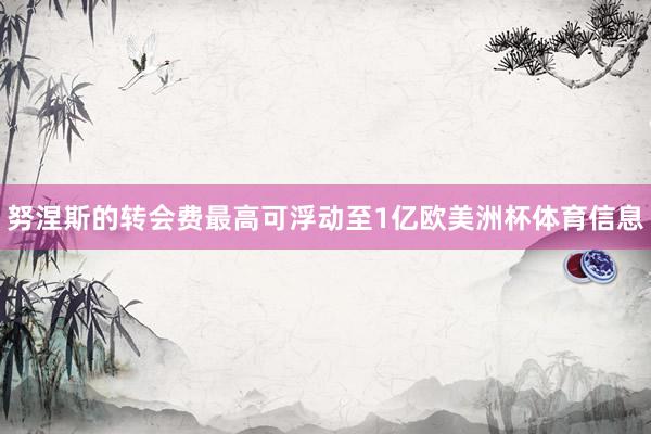 努涅斯的转会费最高可浮动至1亿欧美洲杯体育信息