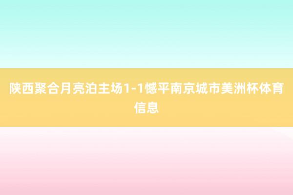 陕西聚合月亮泊主场1-1憾平南京城市美洲杯体育信息