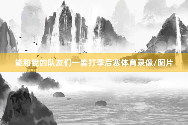 能和我的队友们一皆打季后赛体育录像/图片