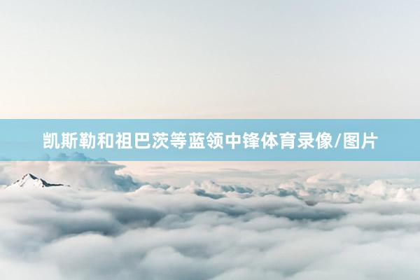 凯斯勒和祖巴茨等蓝领中锋体育录像/图片