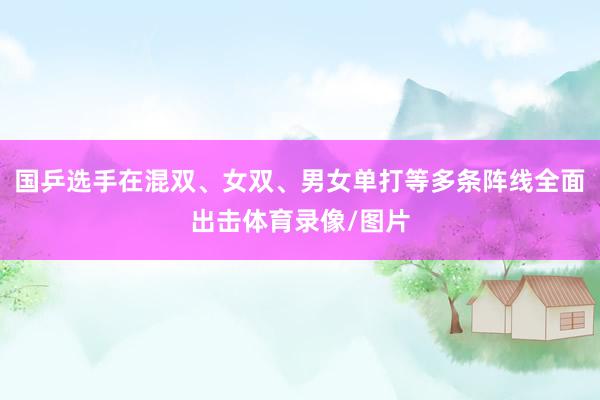 国乒选手在混双、女双、男女单打等多条阵线全面出击体育录像/图片