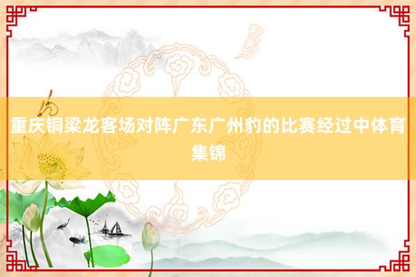 重庆铜梁龙客场对阵广东广州豹的比赛经过中体育集锦