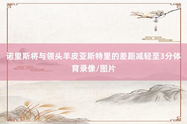 诺里斯将与领头羊皮亚斯特里的差距减轻至3分体育录像/图片