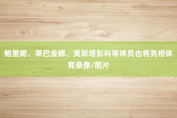 鲍里妮、莱巴金娜、奥斯塔彭科等球员也将亮相体育录像/图片