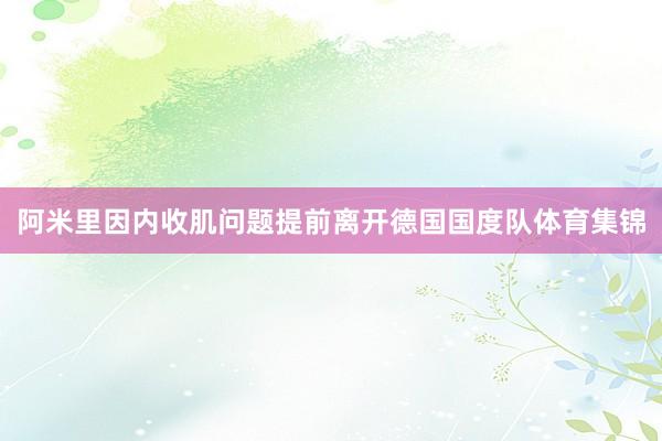 阿米里因内收肌问题提前离开德国国度队体育集锦