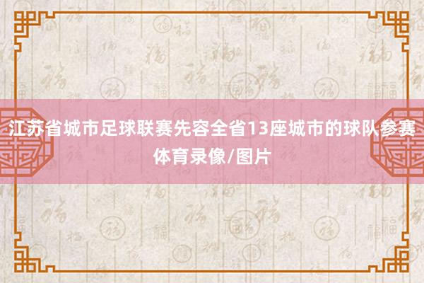江苏省城市足球联赛先容全省13座城市的球队参赛体育录像/图片