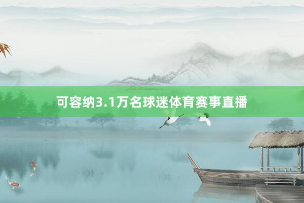 可容纳3.1万名球迷体育赛事直播