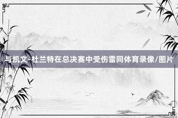 与凯文-杜兰特在总决赛中受伤雷同体育录像/图片