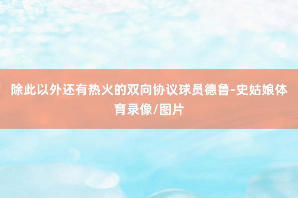 除此以外还有热火的双向协议球员德鲁-史姑娘体育录像/图片