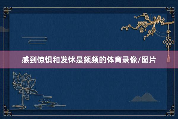 感到惊惧和发怵是频频的体育录像/图片