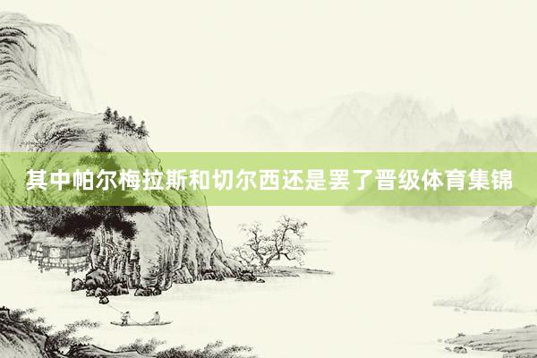 其中帕尔梅拉斯和切尔西还是罢了晋级体育集锦