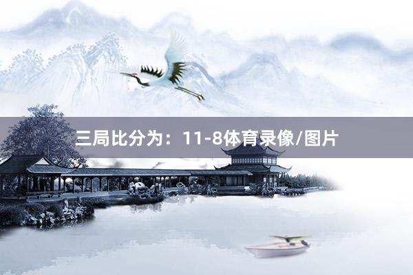三局比分为：11-8体育录像/图片