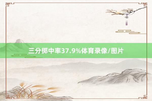 三分掷中率37.9%体育录像/图片