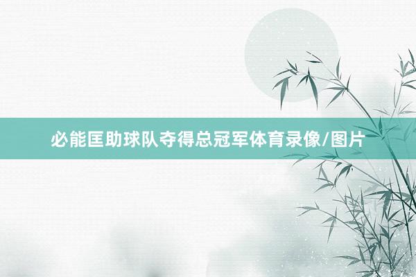 必能匡助球队夺得总冠军体育录像/图片