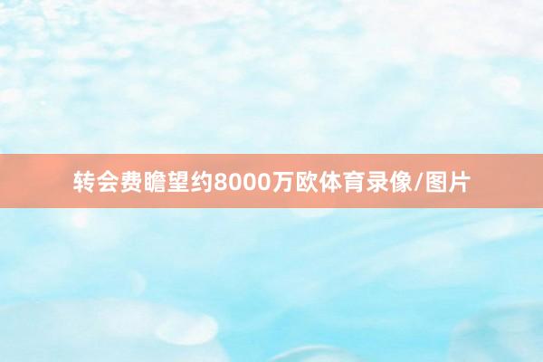 转会费瞻望约8000万欧体育录像/图片