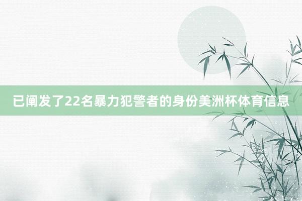 已阐发了22名暴力犯警者的身份美洲杯体育信息