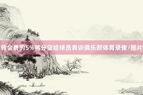 转会费的5%将分拨给球员青训俱乐部体育录像/图片
