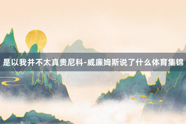 是以我并不太真贵尼科-威廉姆斯说了什么体育集锦