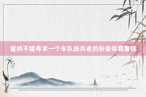 霍纳不错寻求一个车队统共者的扮装体育集锦