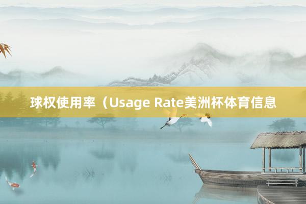 球权使用率（Usage Rate美洲杯体育信息