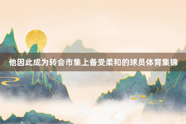 他因此成为转会市集上备受柔和的球员体育集锦