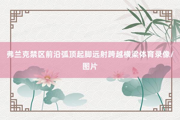 弗兰克禁区前沿弧顶起脚远射跨越横梁体育录像/图片