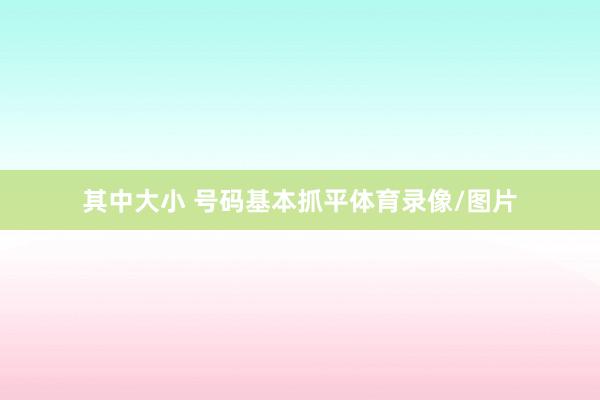 其中大小 号码基本抓平体育录像/图片
