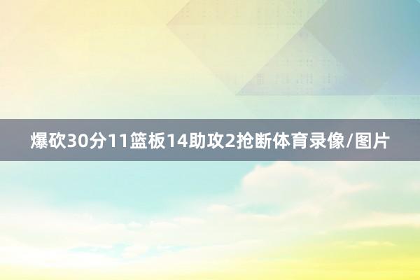 爆砍30分11篮板14助攻2抢断体育录像/图片