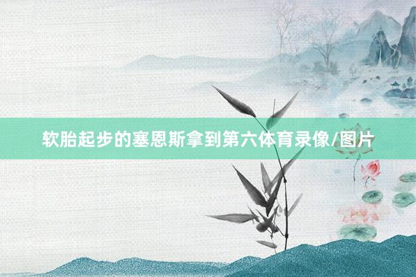软胎起步的塞恩斯拿到第六体育录像/图片