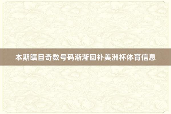 本期瞩目奇数号码渐渐回补美洲杯体育信息