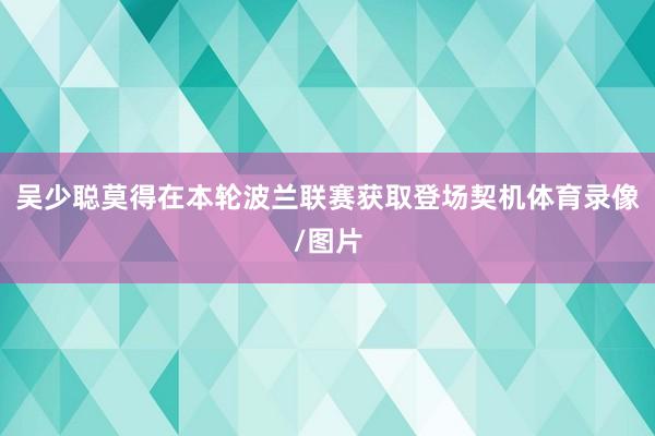 吴少聪莫得在本轮波兰联赛获取登场契机体育录像/图片