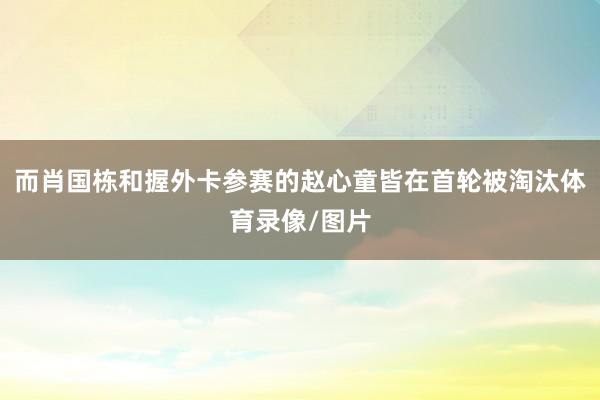 而肖国栋和握外卡参赛的赵心童皆在首轮被淘汰体育录像/图片