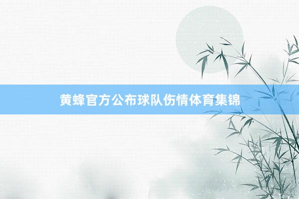 黄蜂官方公布球队伤情体育集锦