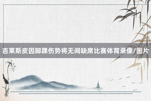 吉莱斯皮因脚踝伤势将无间缺席比赛体育录像/图片