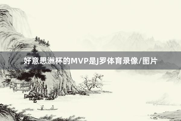 好意思洲杯的MVP是J罗体育录像/图片