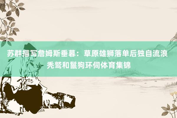 苏群描写詹姆斯垂暮：草原雄狮落单后独自流浪 秃鹫和鬣狗环伺体育集锦