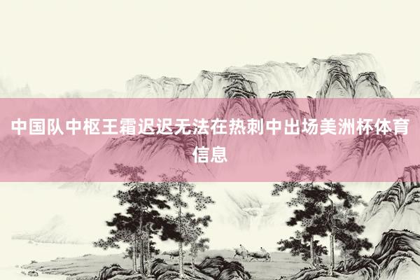 中国队中枢王霜迟迟无法在热刺中出场美洲杯体育信息
