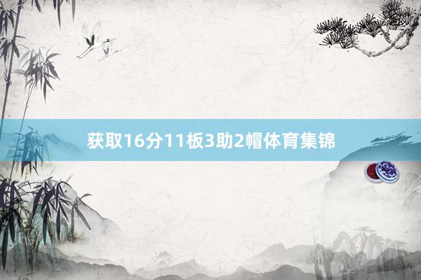 获取16分11板3助2帽体育集锦