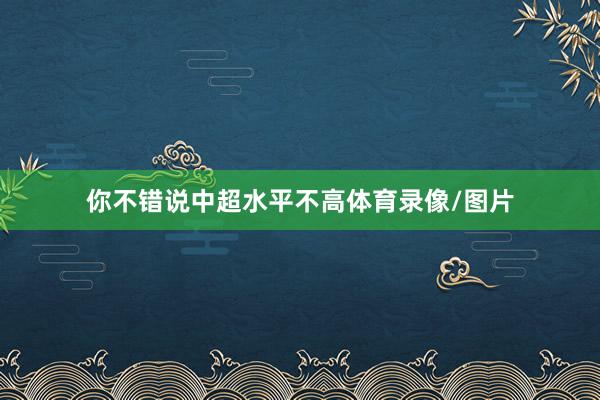 你不错说中超水平不高体育录像/图片
